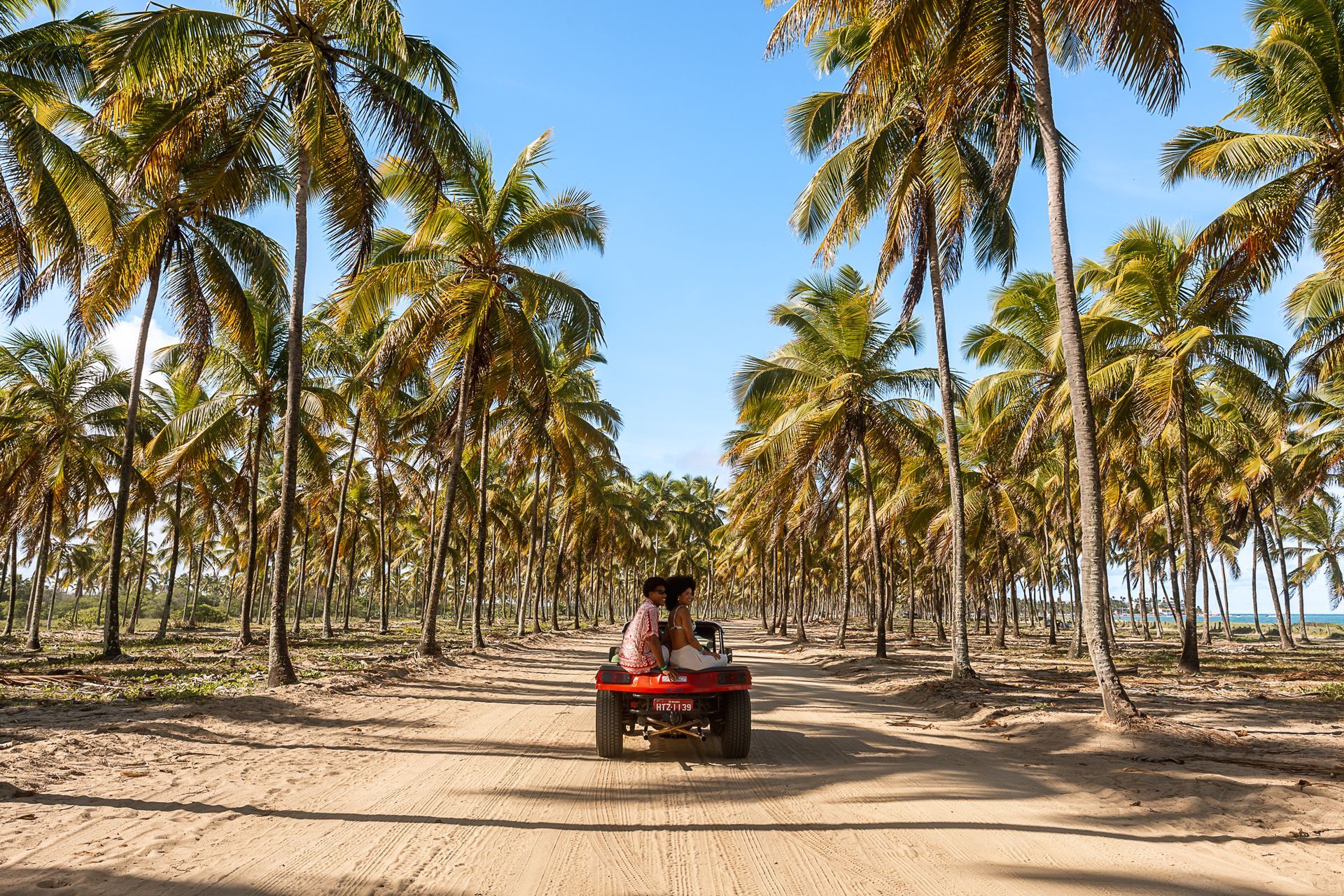 Casal sentado na parte traseira de um buggy, que anda no meio de um coqueiral. Os coqueiros estão dos dois lados do caminho de areia.
