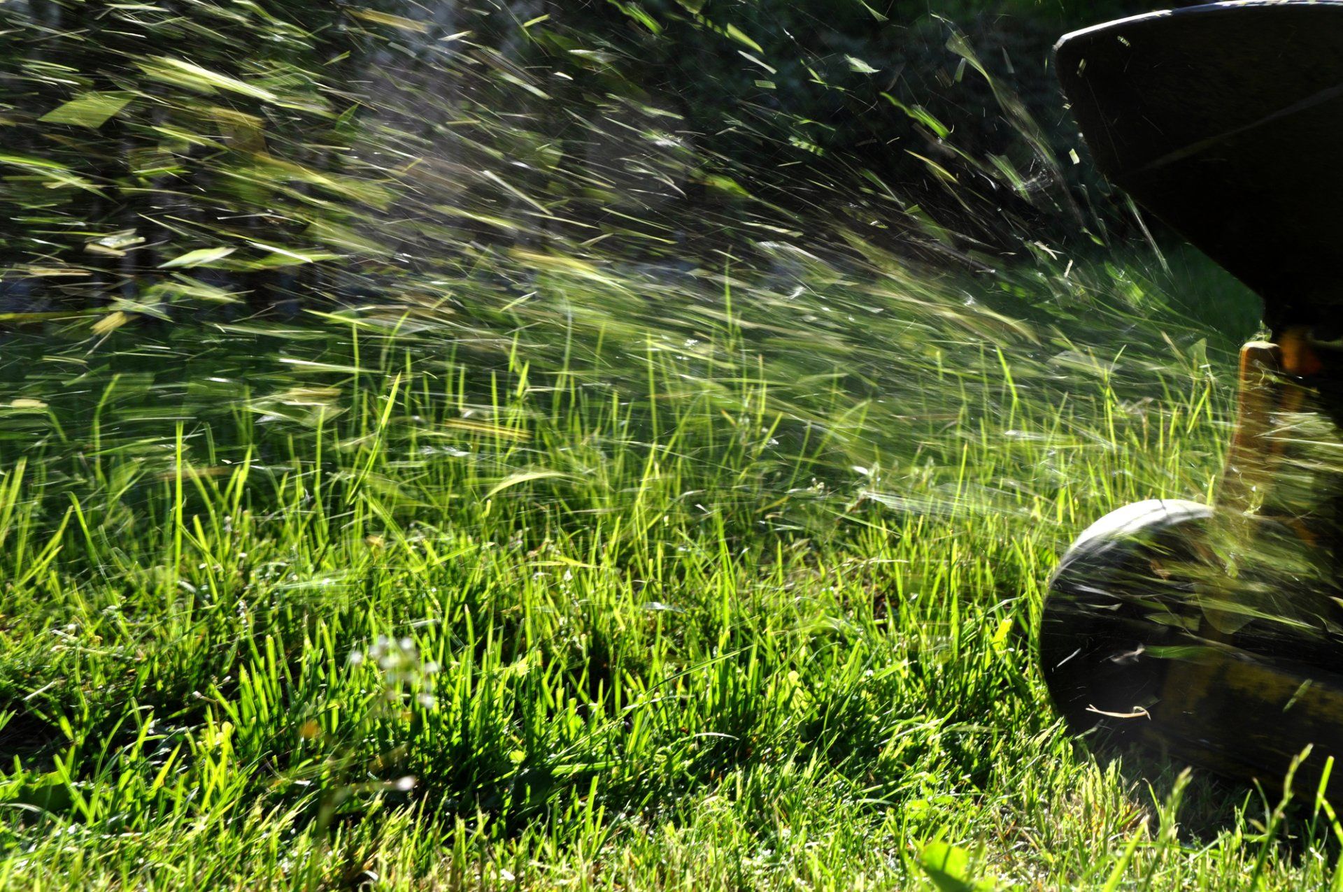 COMMERCIAL LAWN MOWING IN KAILUA-KONA, HI