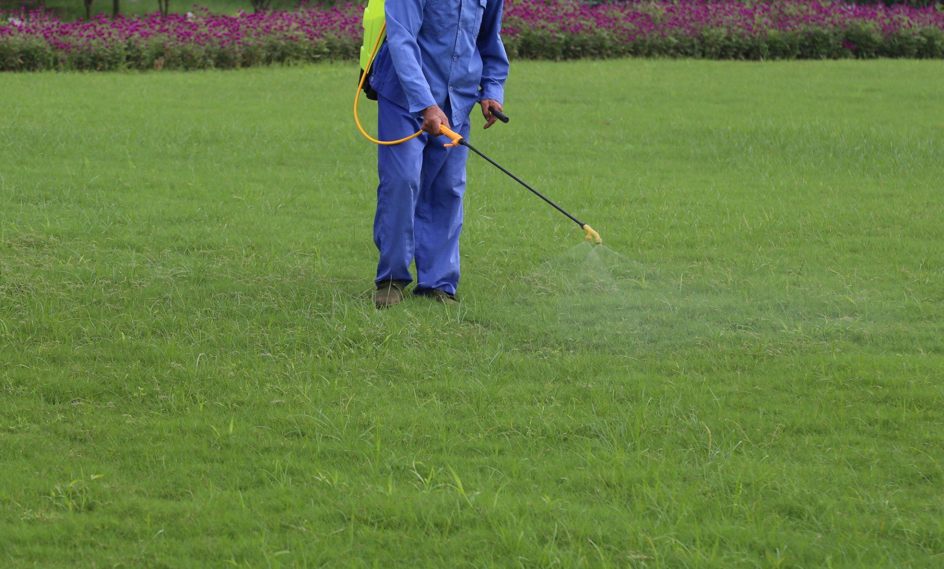 LAWN PEST CONTROL IN KAILUA-KONA, HI