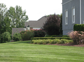 Gallery - K & S Landscape Contractors in Howell, NJ