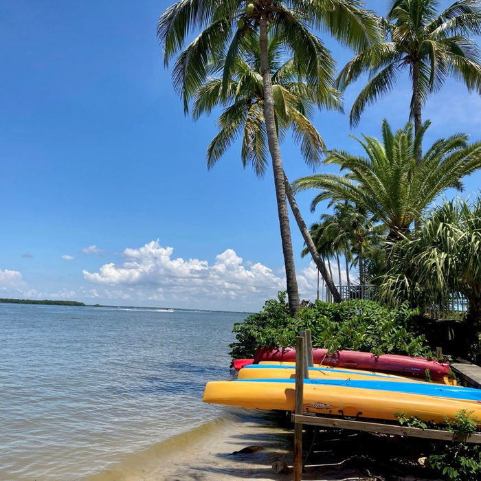 Kayaks and palm trees on a beach near Omni Title in Fort Myers