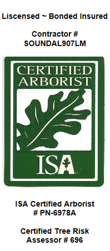 ISA Certified Arborist