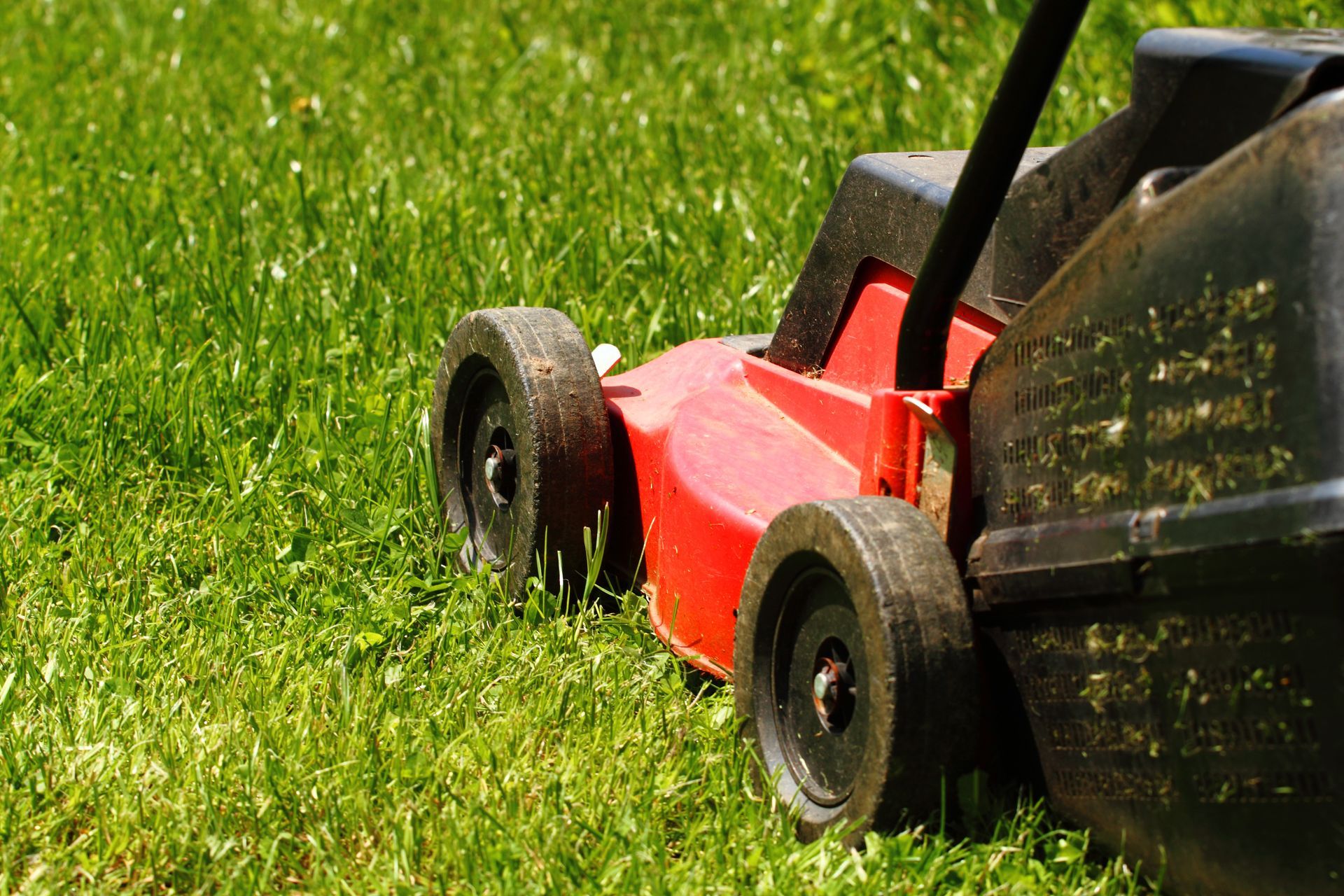 Red lawn mower cutting grass used by a professional landscaper Iowa City, IA for yard maintenance.