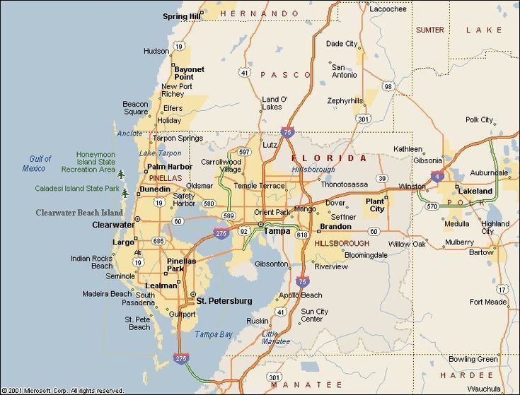 Tampa Florida, Tampa Bay, Dry Cleaning, Laundry Services