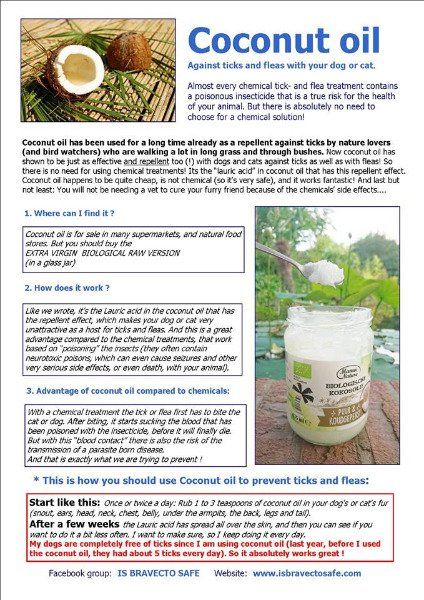 Coconut oil - natural repellent against ticks and fleas
