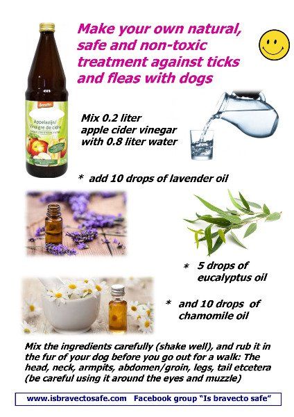 Receipe for safe natural tick and flea treatment