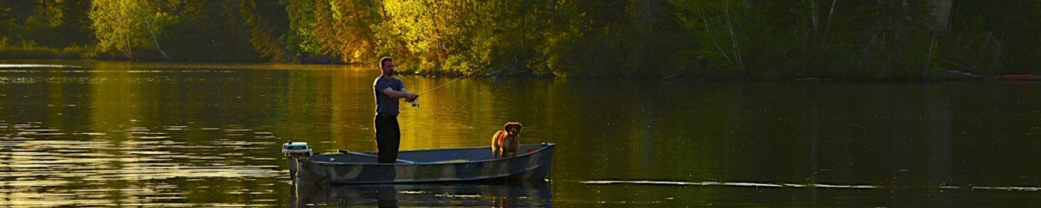 hond in boot