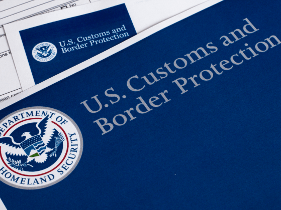 Reducing Customs Delays Case Study