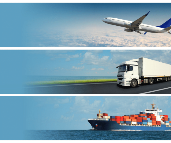 Import VAT - ICS Global Services