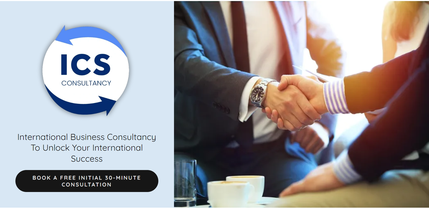International Business Consultancy Website