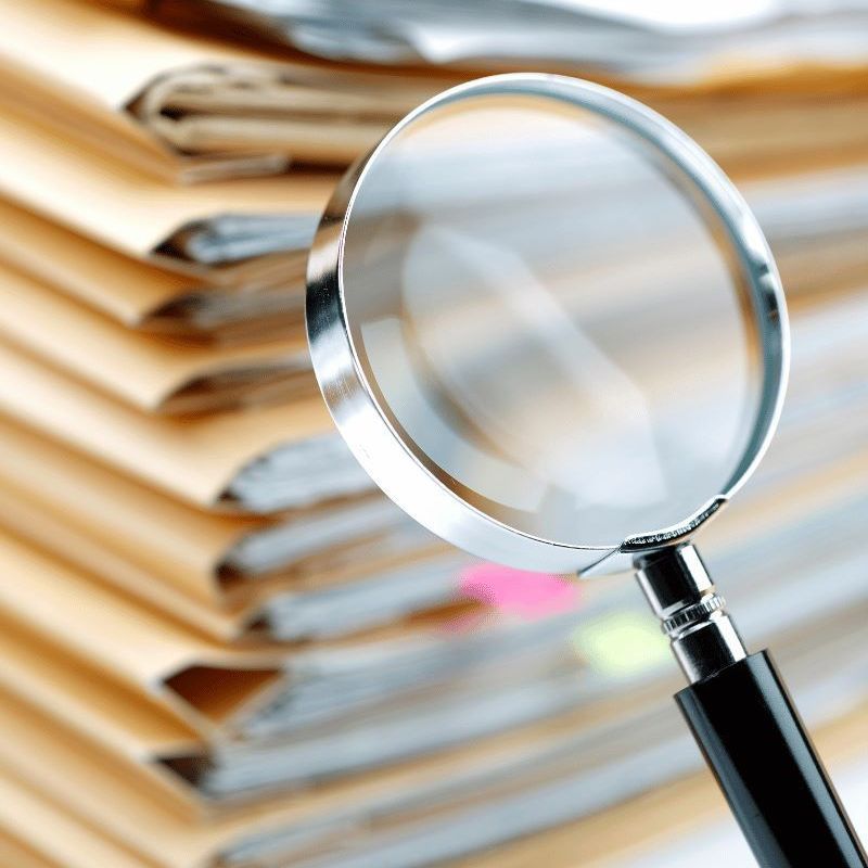 ICS Global Services - Customs Audits