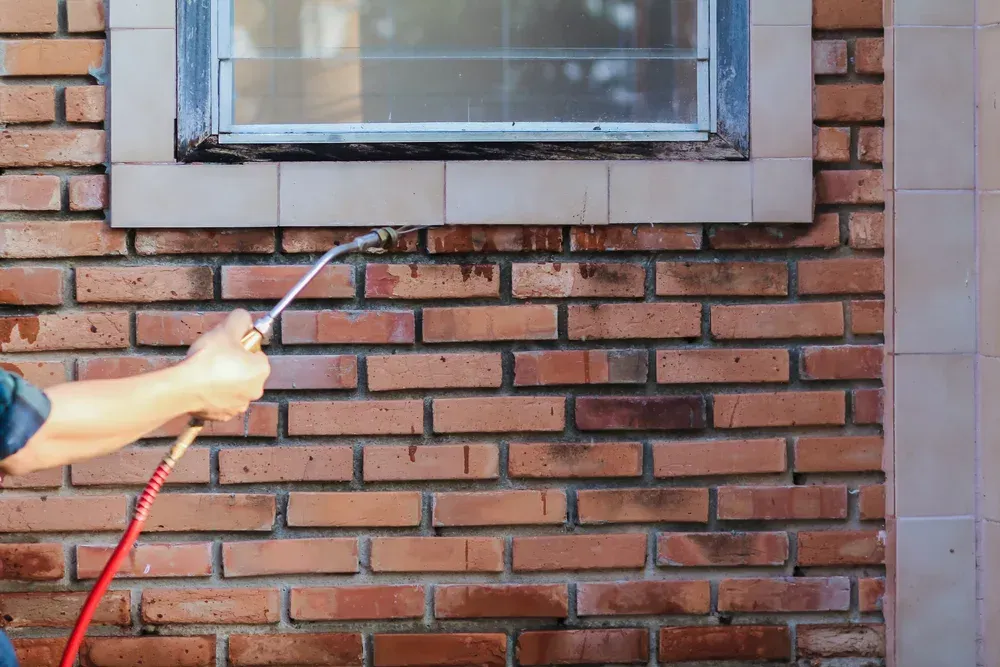Person spraying a brick wall with a hose, cleaning near a window — Dominion Pest Control in Nanango, QLD
