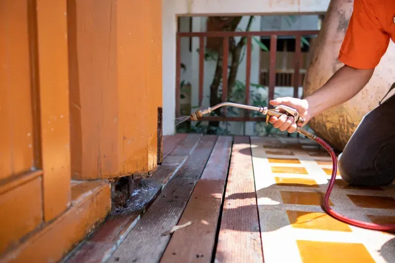 Person spraying pesticide on wooden porch near building — Dominion Pest Control in Kumbia, QLD