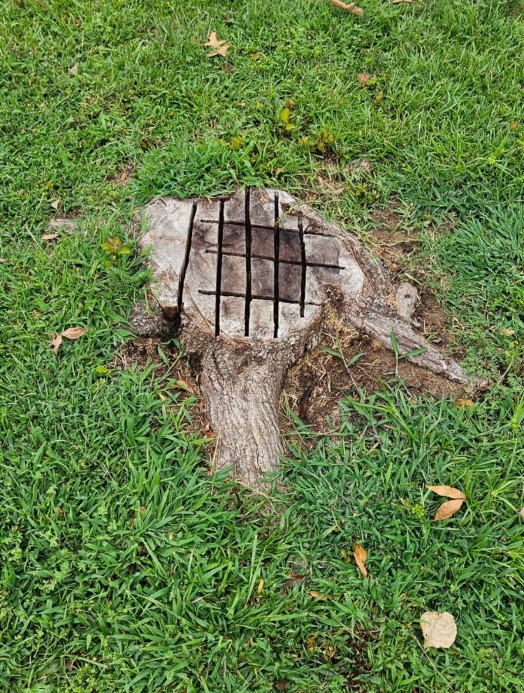 A tree stump in the middle of a lush green field.
