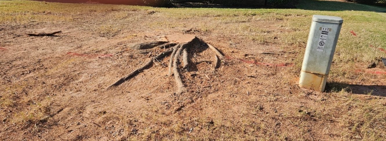 A spider is sitting in the dirt next to a sign.