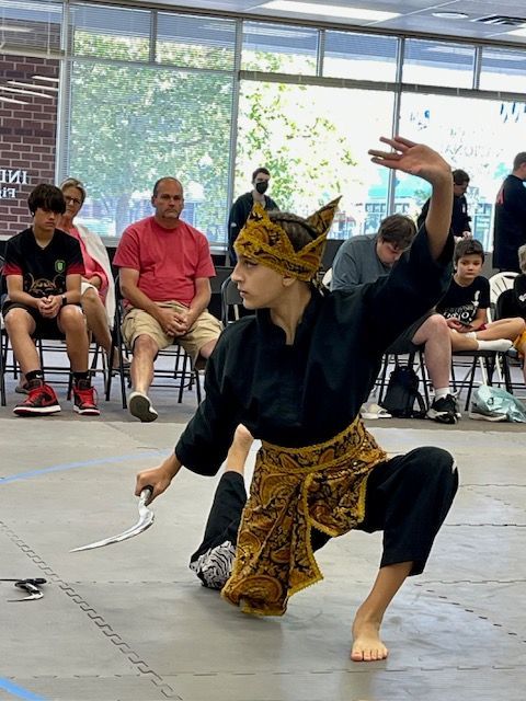 A group of people are watching a person perform martial arts