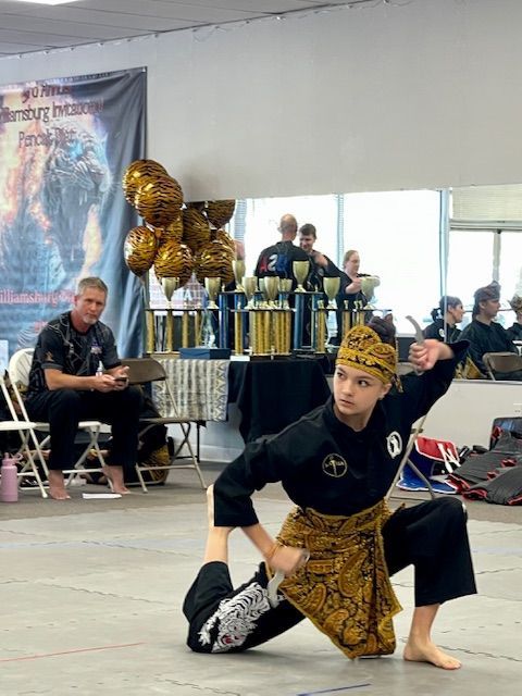 A person is doing a martial arts pose in a room.