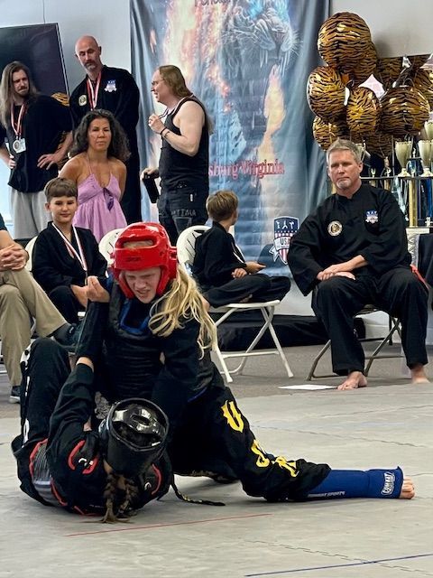 A group of people are watching a martial arts match