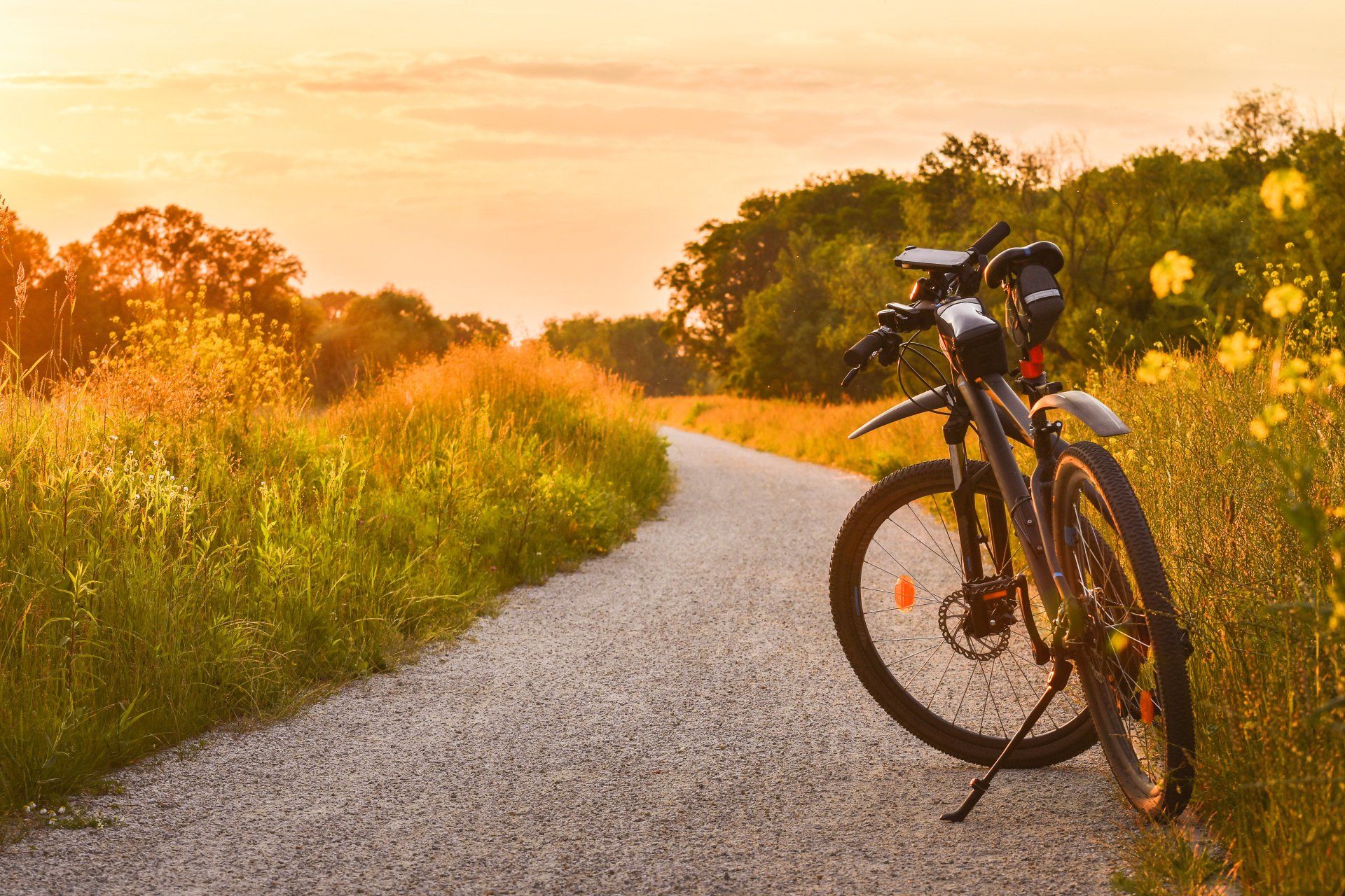 A bicycle is parked on the side of a dirt road.