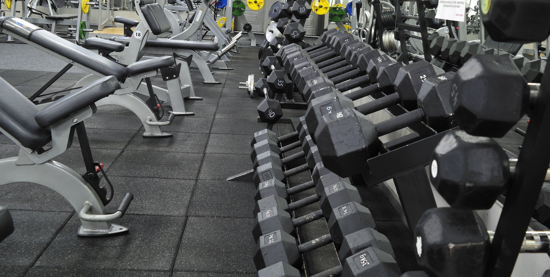 A row of dumbbells are lined up in a gym.