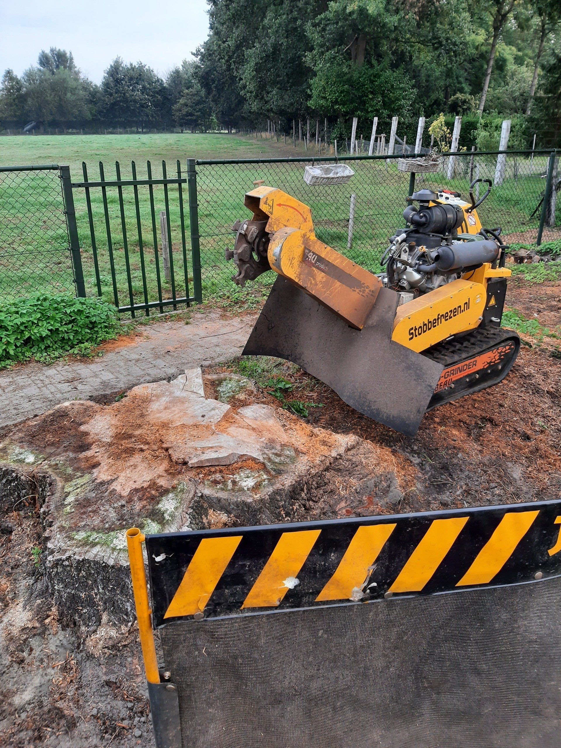Een stobbenfrees wordt gebruikt om een boomstronk te verwijderen.
