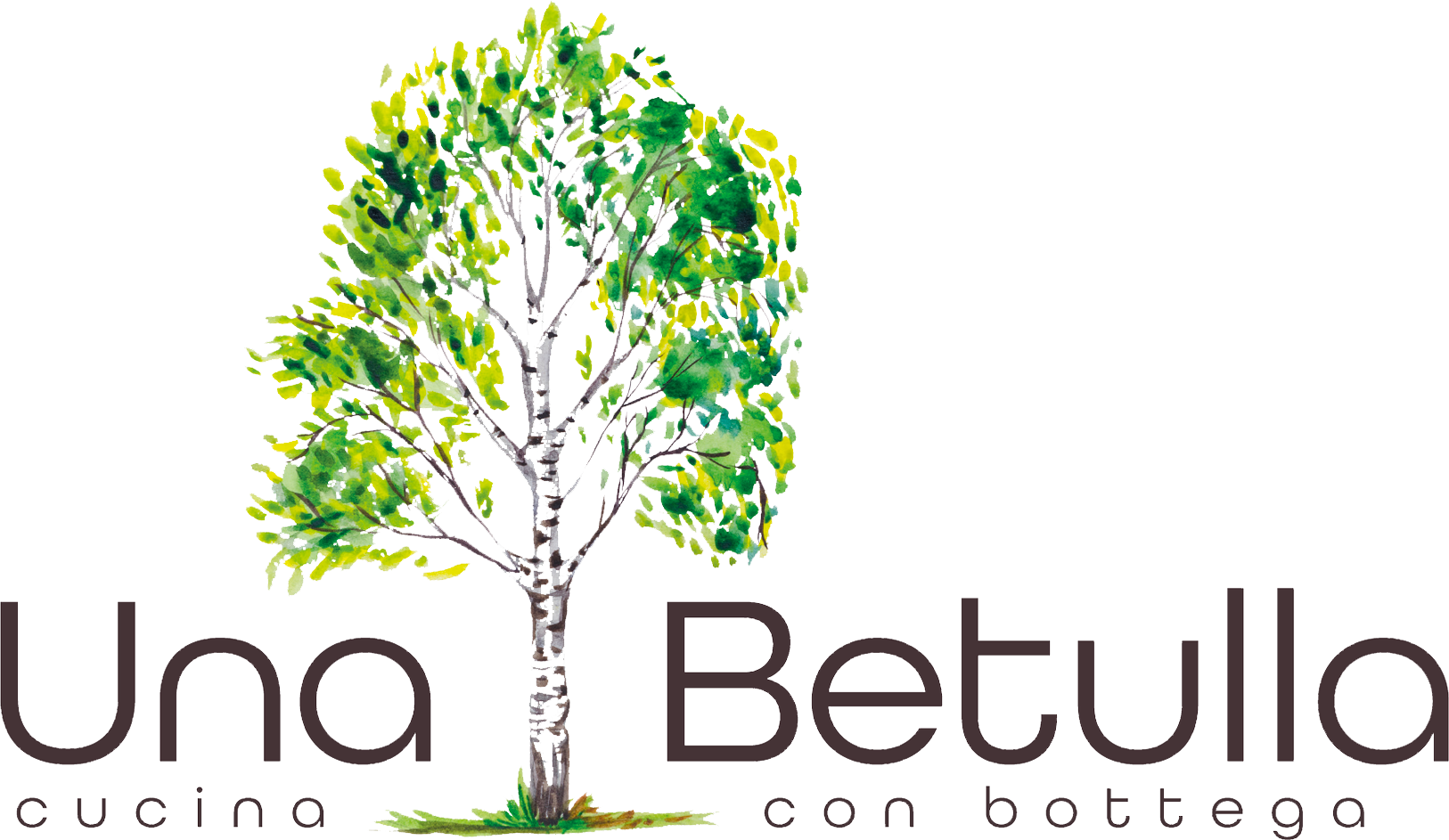 Logo Una Betulla Cucina con bottega

