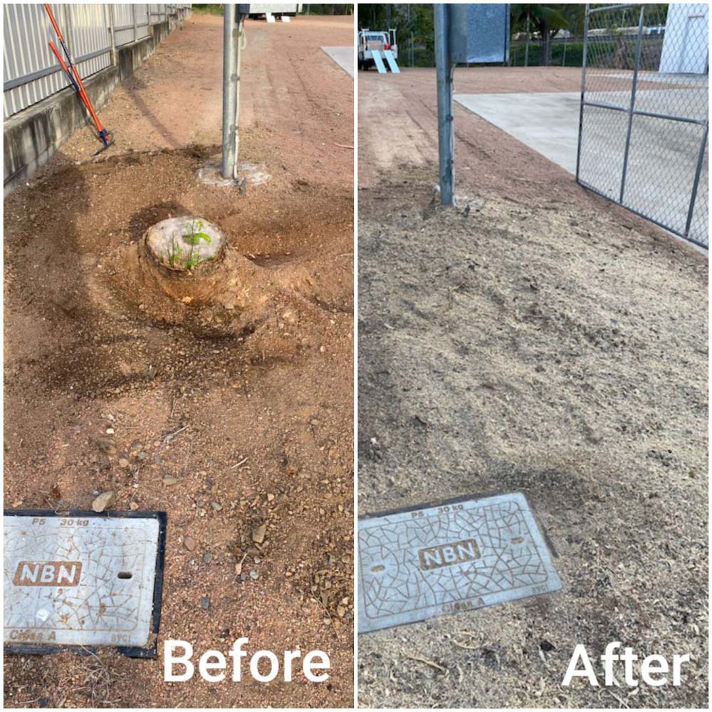 Sample Works Before and After — Stump Removal in Townsville, QLD