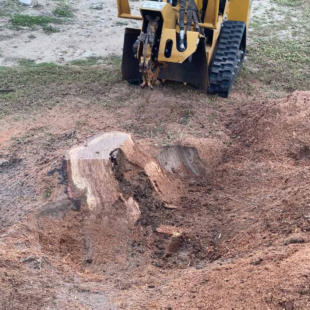 Stump Grinding Equipment On Working — Stump Removal in Townsville, QLD