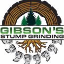 Gibson’s Stump Grinding is Your Stump Removal Specialist in Townsville