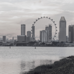 A black and white view of the Singapore Flyer observation wheel standing before a city skyline across a body of water.