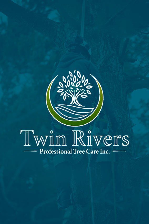Professional Tree Care - Stockton, CA - Twin Rivers