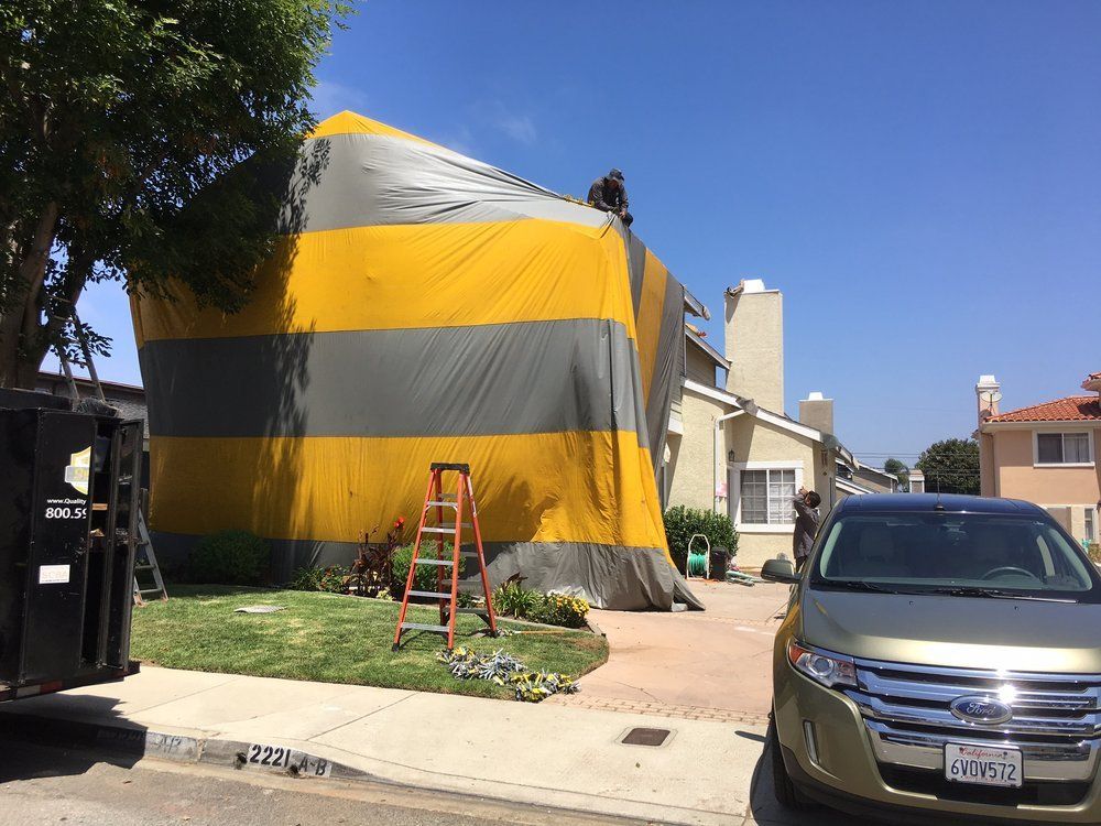 Termite Control – Los Angeles, CA – John Kowan Termite Control