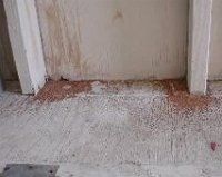 Wall With Termites — Torrance, CA — John Kowan Termite Control