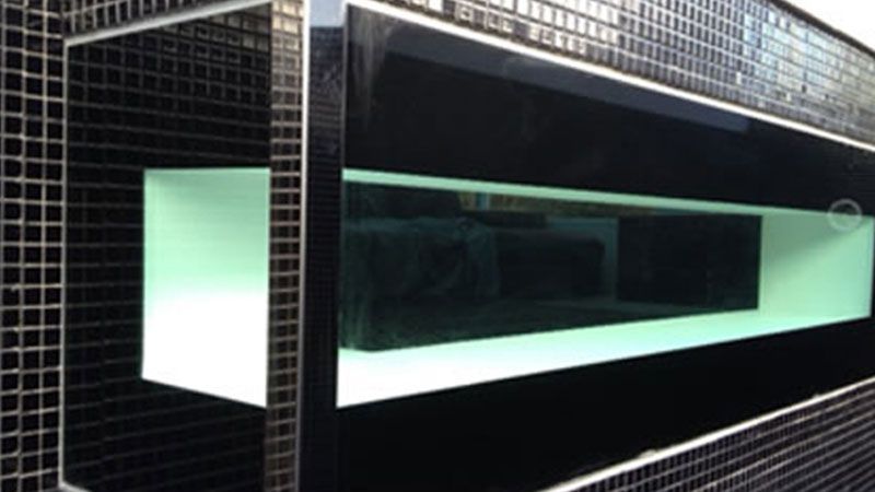 Pool With Black Tiles — Brisbane, QLD — Euroglass Australia