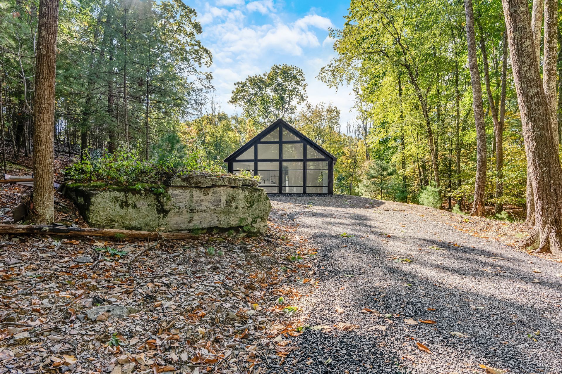 A greenhouse is sitting in the middle of a forest next to a gravel road.