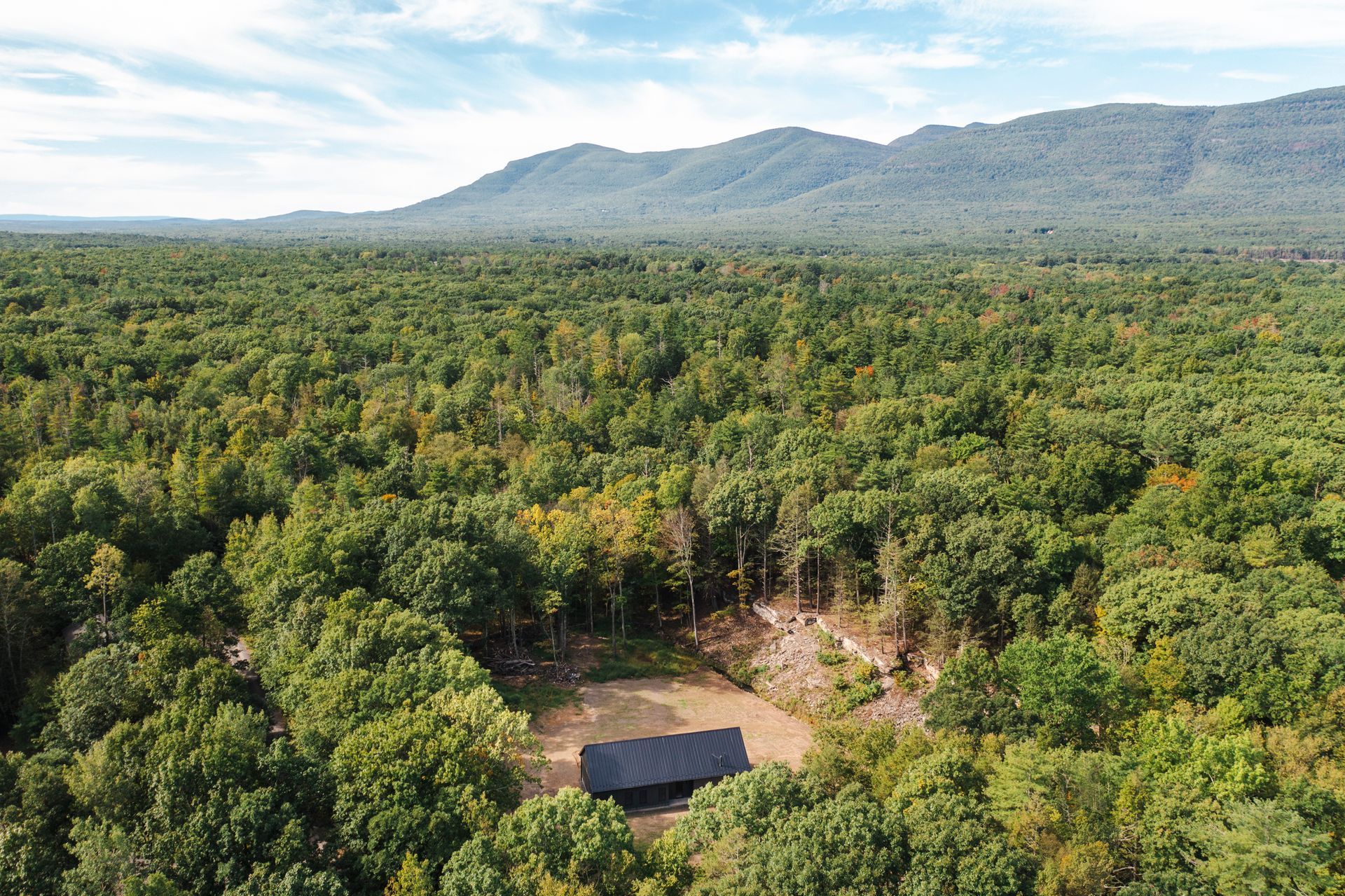 An aerial view of a lush green forest with mountains in the background.