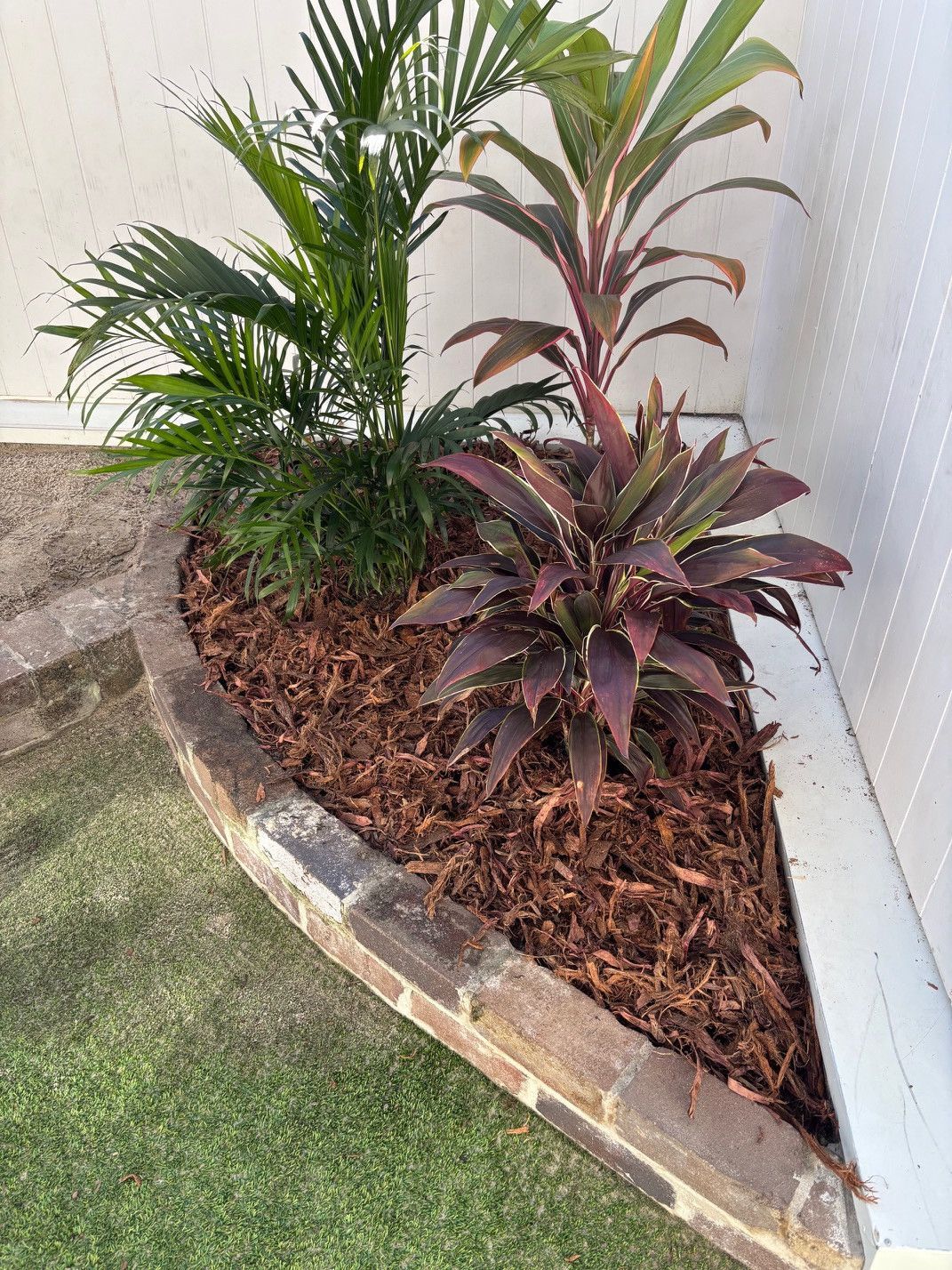 Corner garden bed with green and burgundy plants, brown mulch, and brick edging — Rohan's Maintenance in Robina, QLD