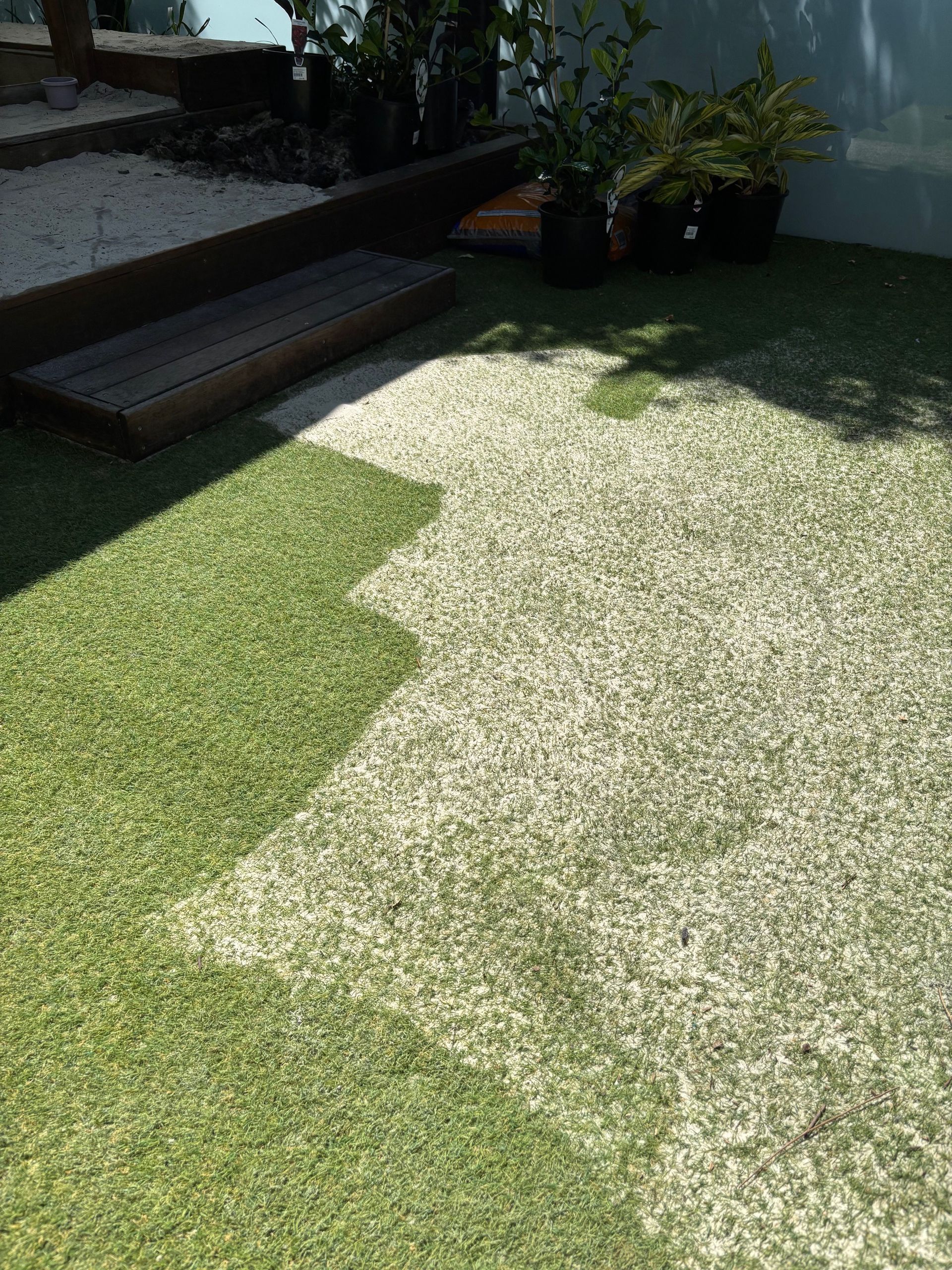 Close-up of Bright Green Grass in a Field — Rohan's Maintenance in Robina, QLD