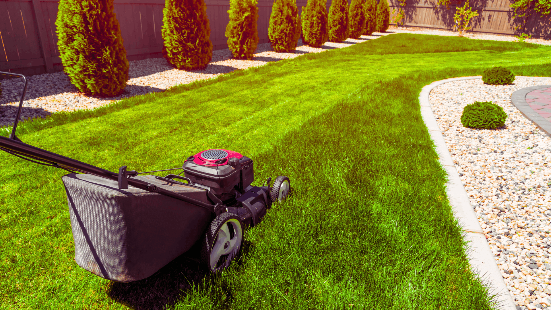 Lawn mower cutting a bright green lawn in a backyard lined with bushes and decorative stones — Rohan's Maintenance in Robina, QLD