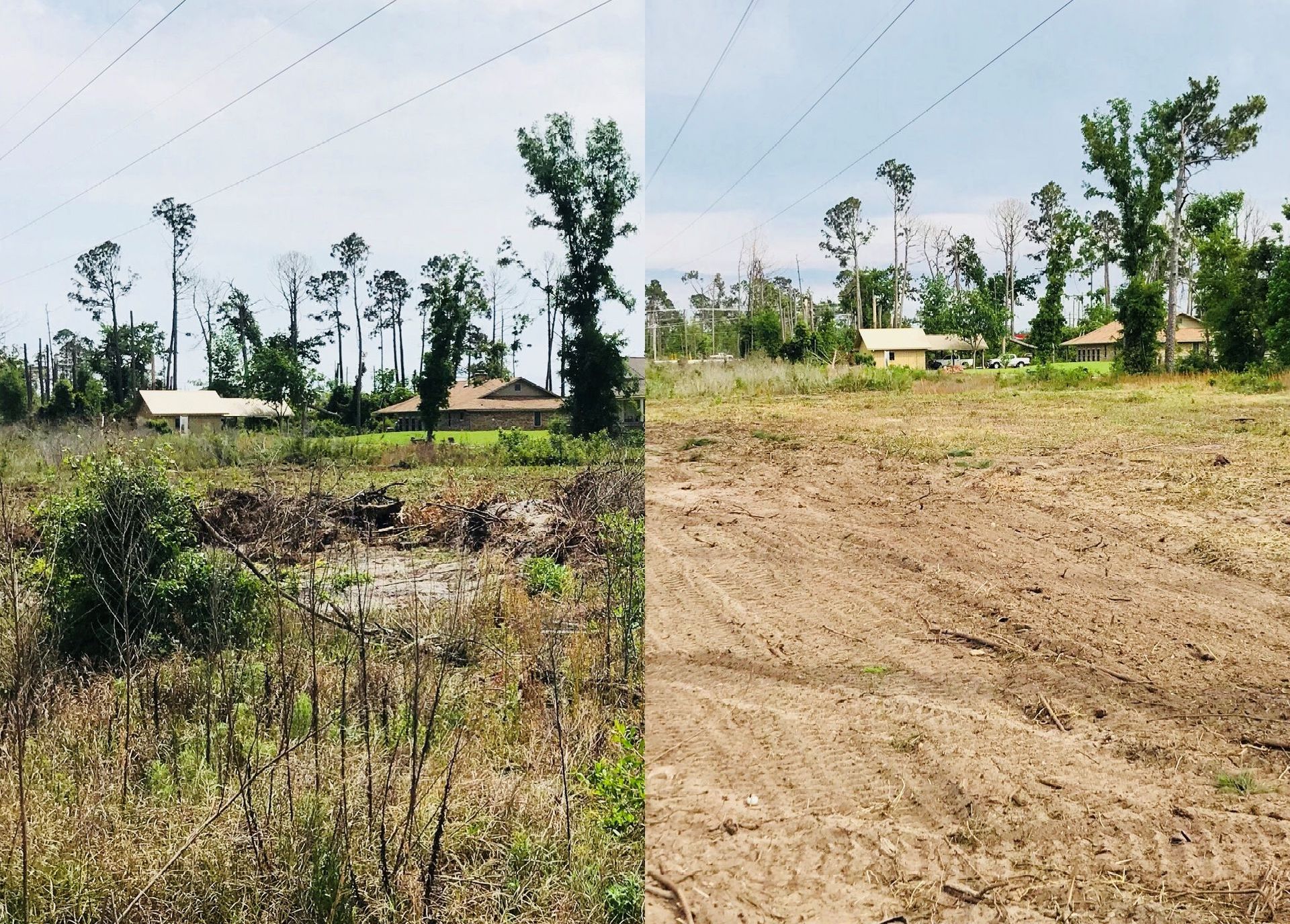 A before and after picture of a field with trees in the background