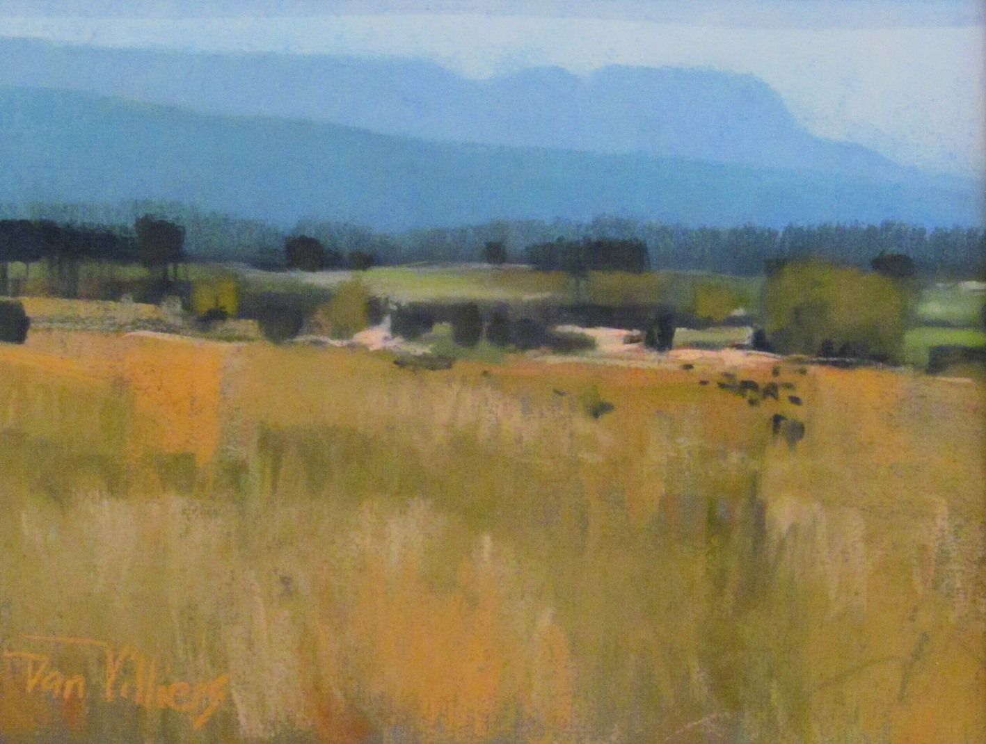 Pastel landscape of a golden field, distant trees, and blue mountains under a light sky. Painted by Dan Villiers