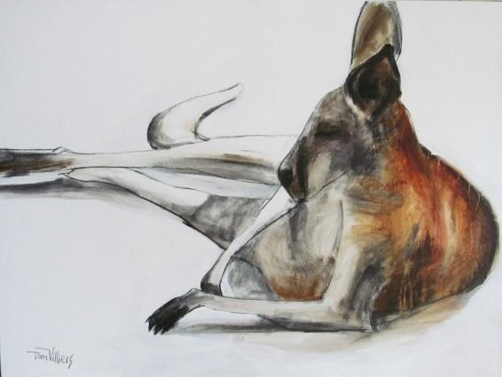 A relaxed kangaroo, resting on a white surface; reddish-brown fur, gray-white limbs. Acrylic painting by Dan Villiers