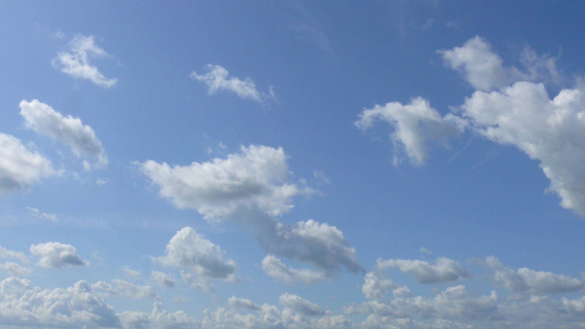 Air purifying diffusers