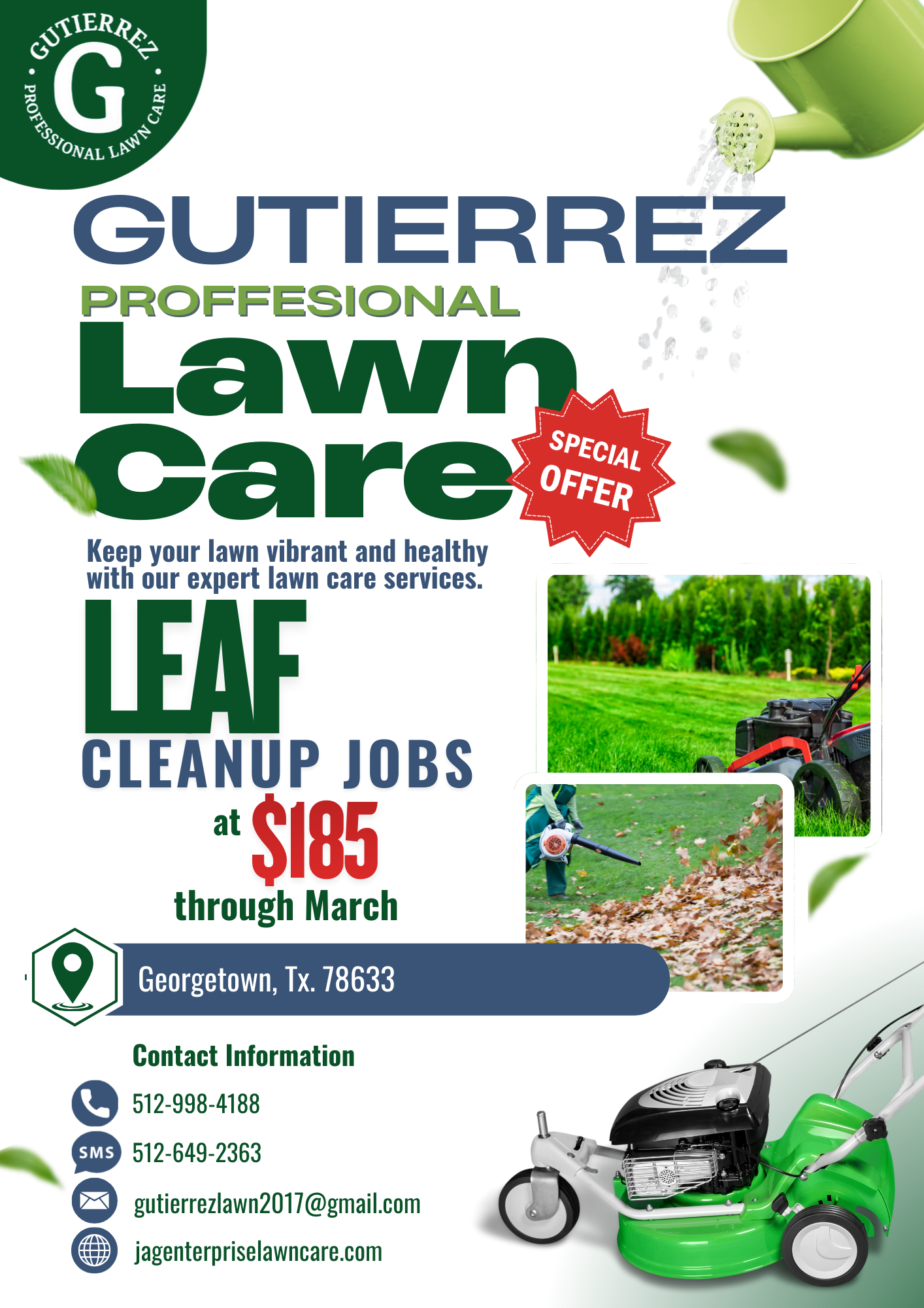 Professional Lawn Care Services Flyer