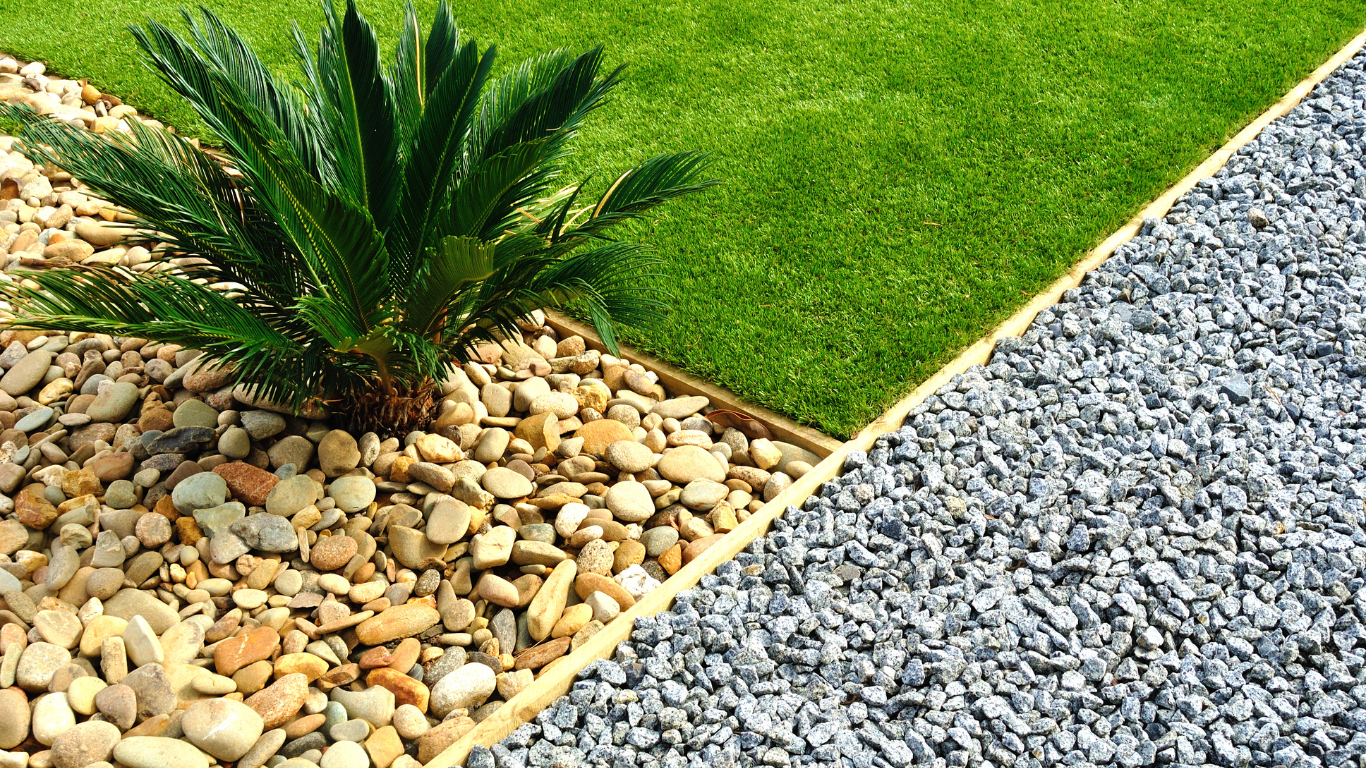 Lush green grass bordered by a strip of gravel and a bed of tan and brown pebbles, with a small leafy plant.
