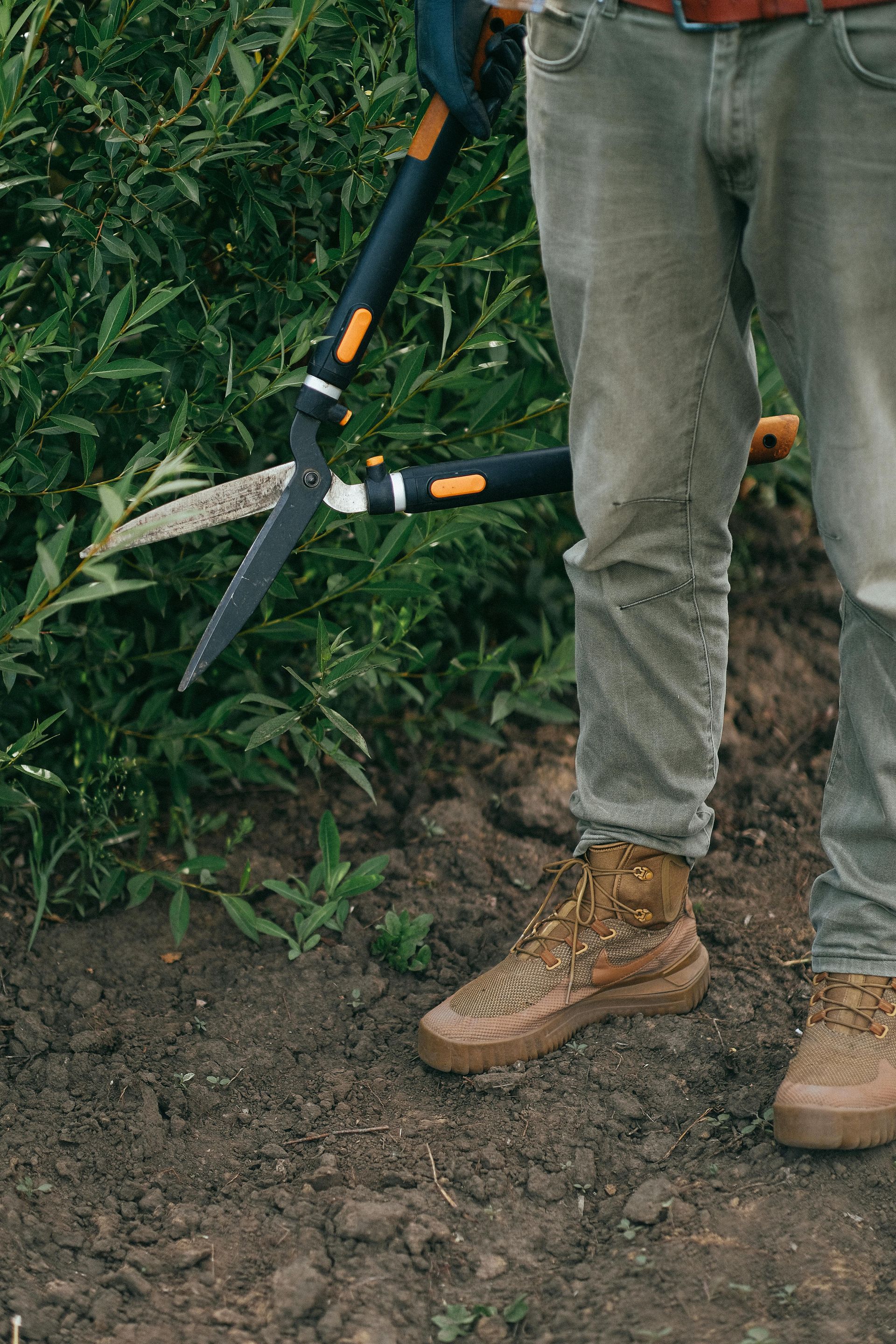 Person pruning a bush with long-handled shears; wearing jeans, brown boots, and standing in dirt.