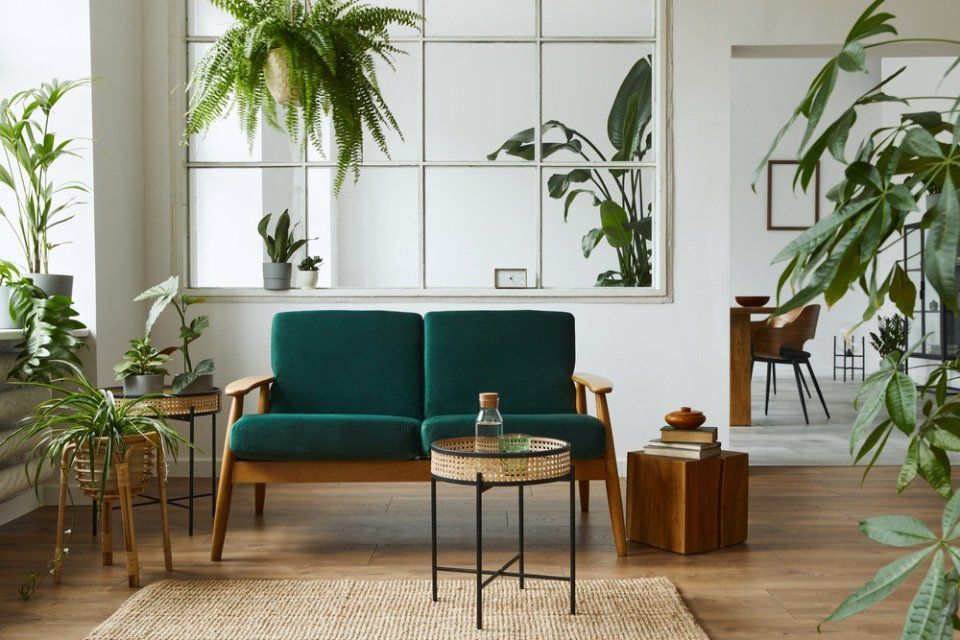 Divano verde
