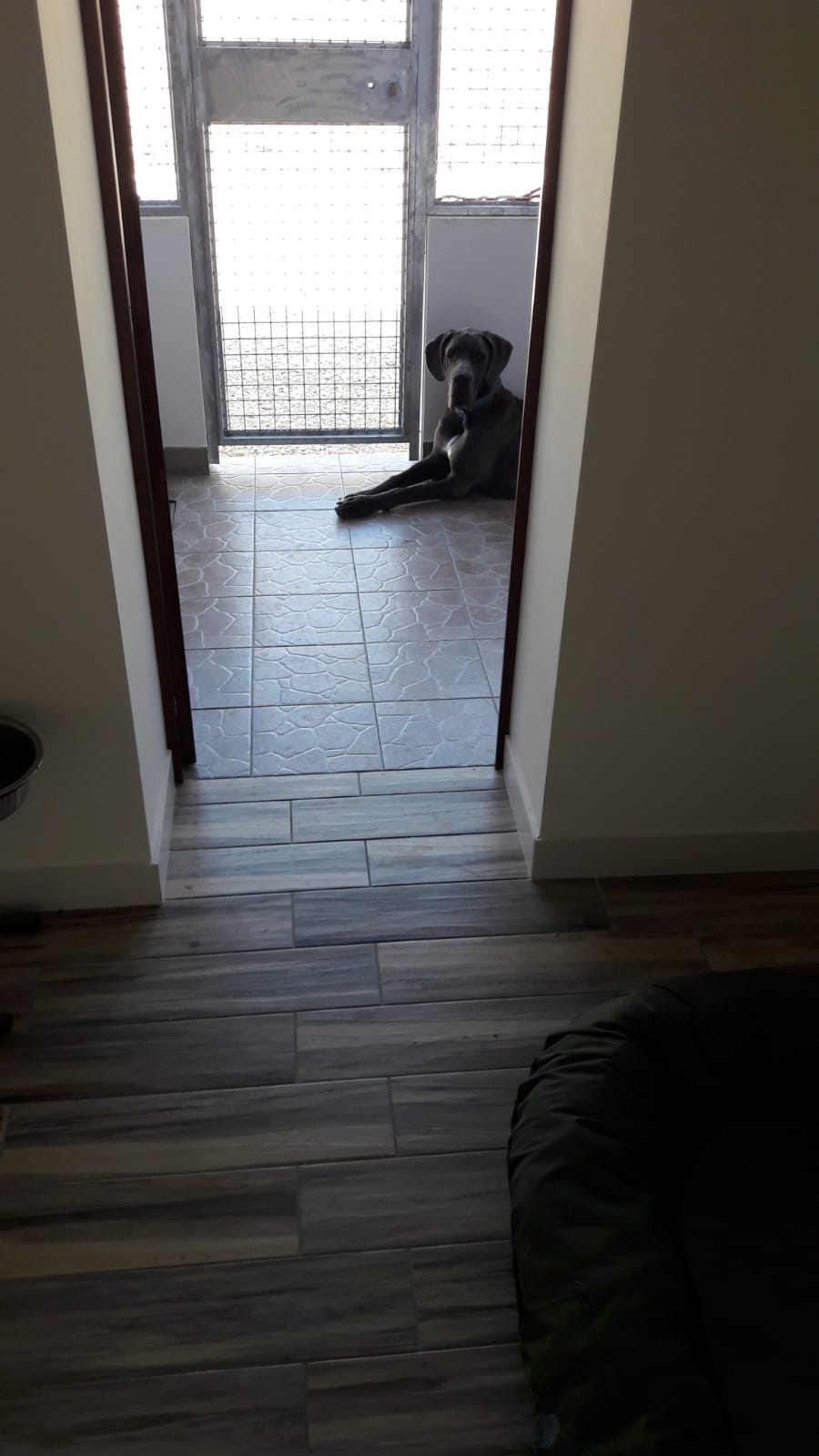karma dog resort