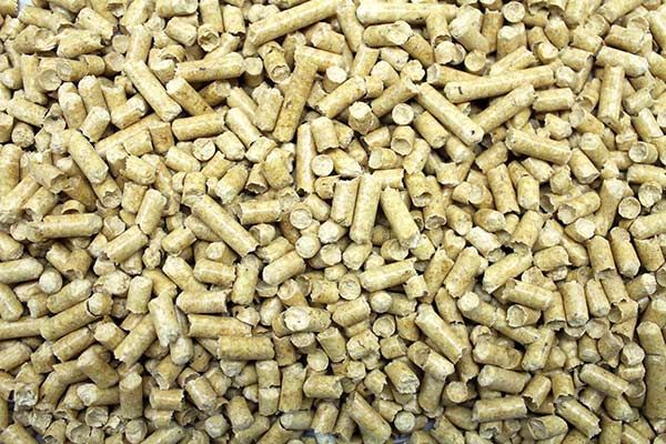 A pile of light-colored, cylindrical wood pellets used for biomass fuel or animal bedding.