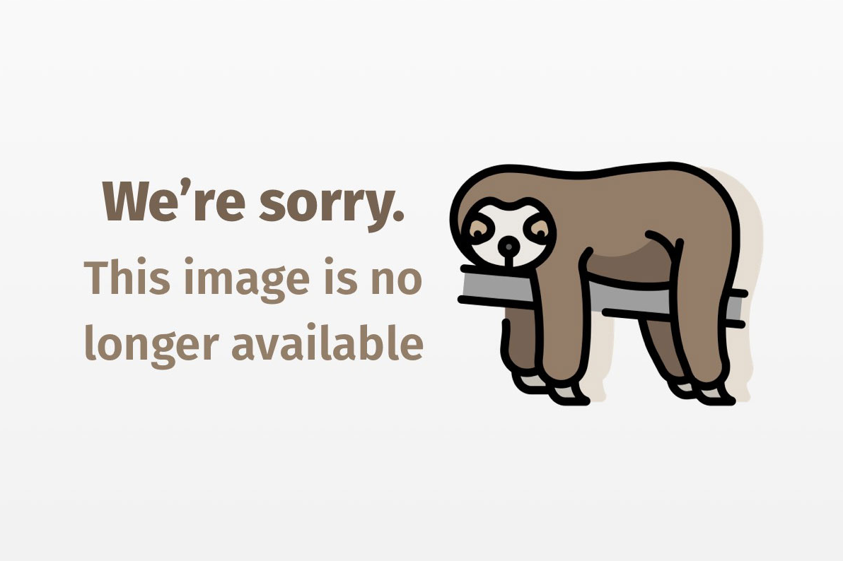 A sloth is laying on a branch with the words `` we 're sorry . this image is no longer available ''.